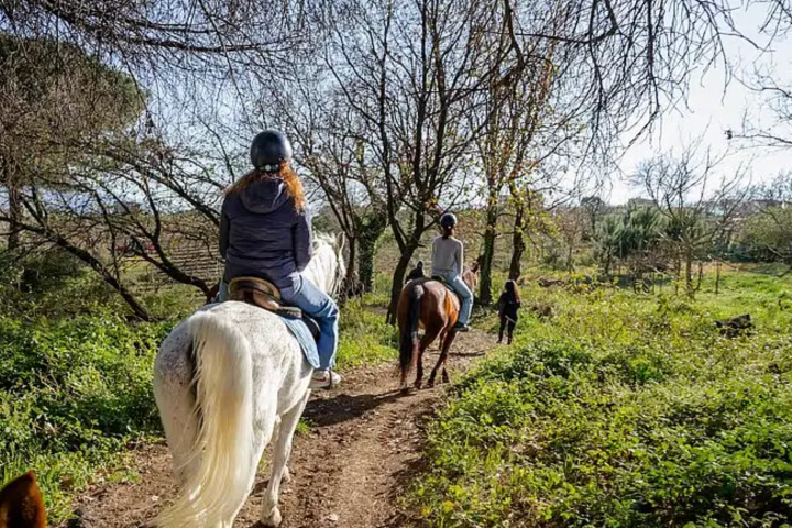 Two people riding horses on a forest path under bare trees on a sunny day.