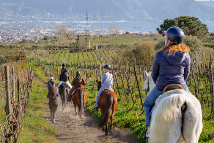 People on horseback ride through vineyard with city and mountains in background.